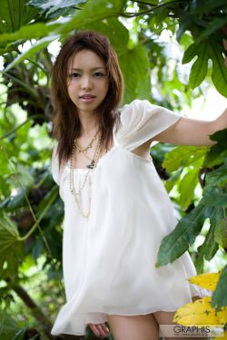 新上门女婿